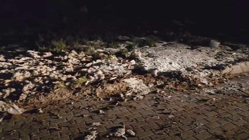 Duyarlı vatandaş kameraya aldı: Yoğurtlar kovalarla yol kenarına boşaltıldı