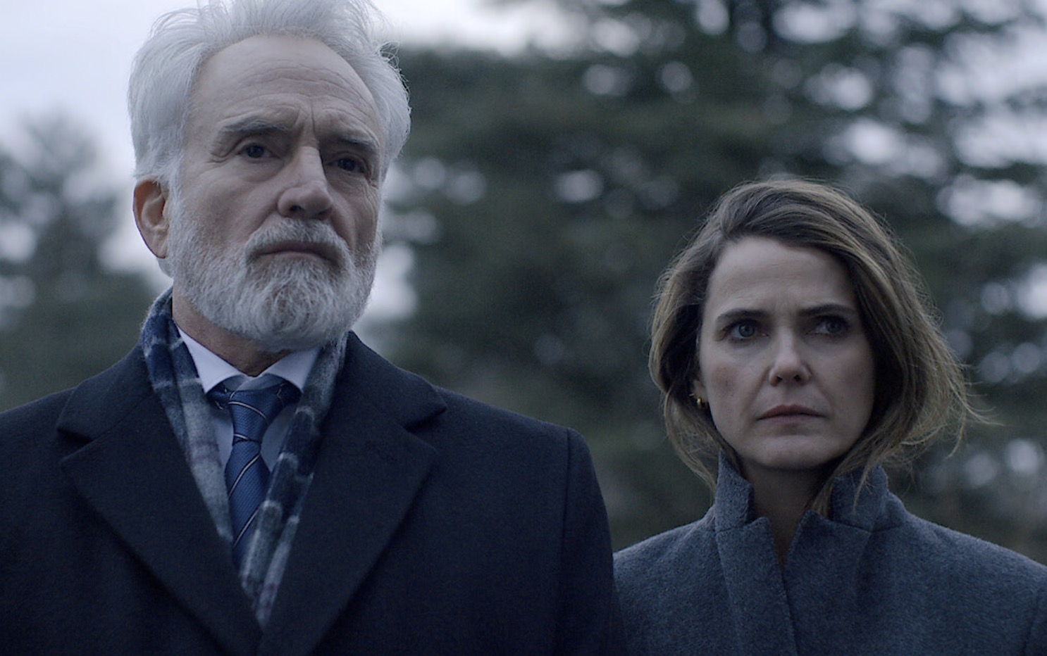 The Diploma Yeni Sezon