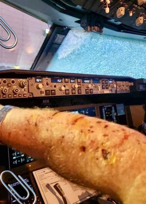 Uçağa Meteor Çarptı