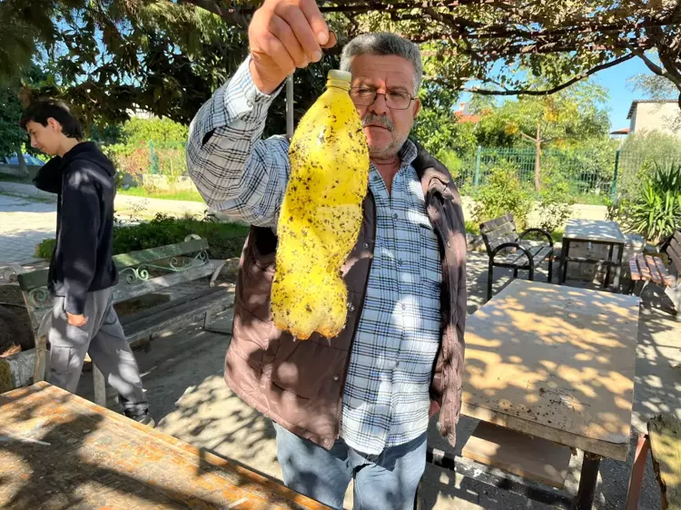 Akdeniz Meyve Sineğine Karşı Tuzak 2