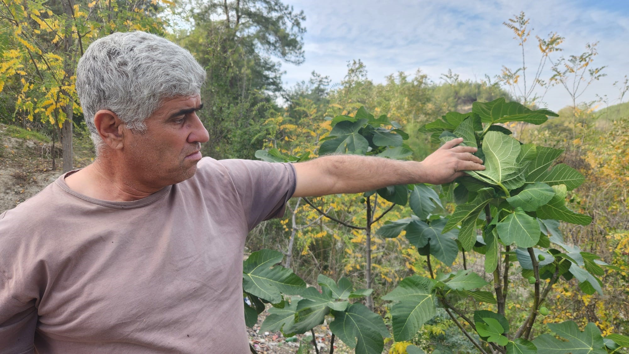 Aralık Ayında Yaz Manzarası2