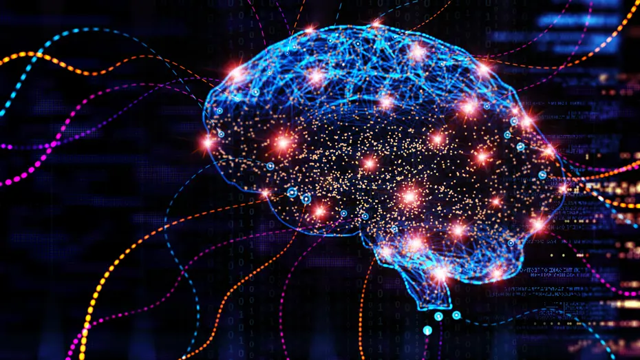 Beynin olgunlaşması 30 yıl sürüyor