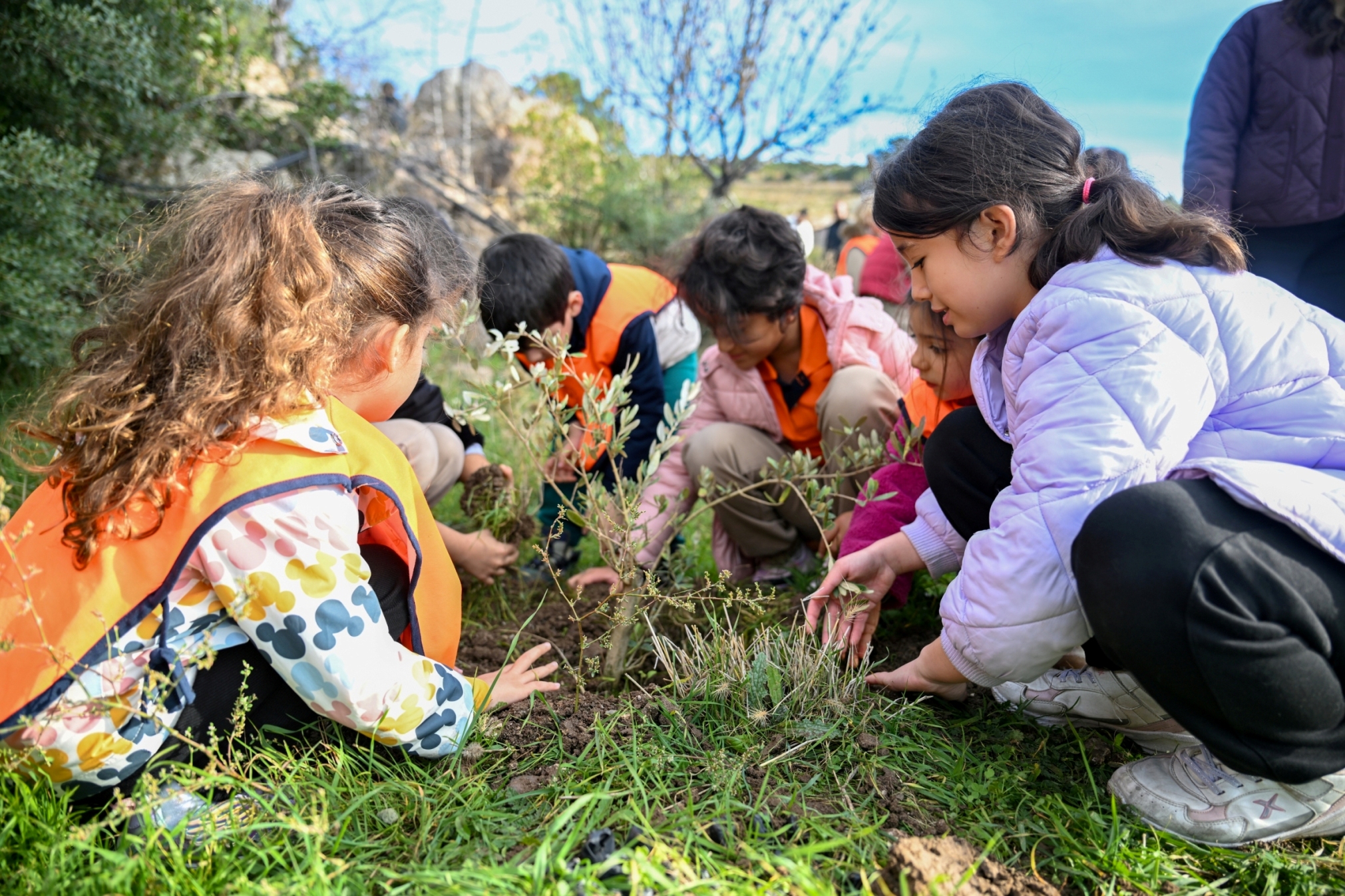 Bornova Belediyesi'nden 26 Kasım'a Özel 200 Zeytin Fidanı!3