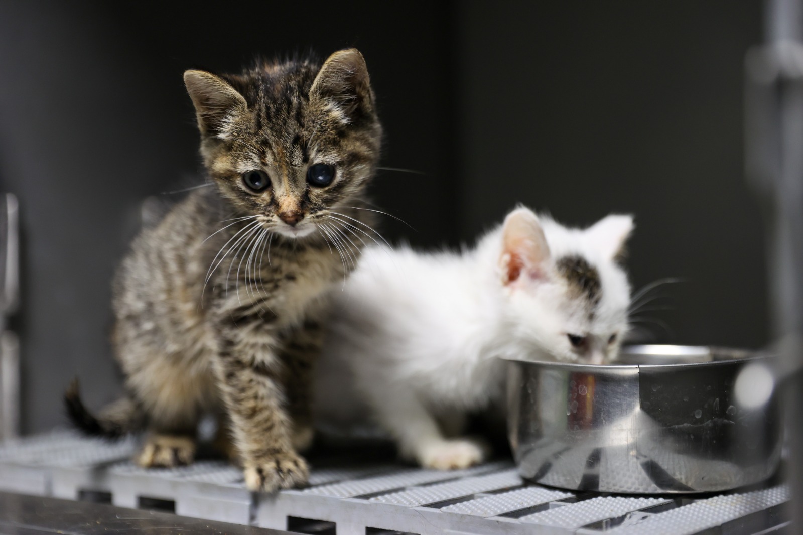 Modern üniteyle hizmet kapasitesi ikiye katlandı