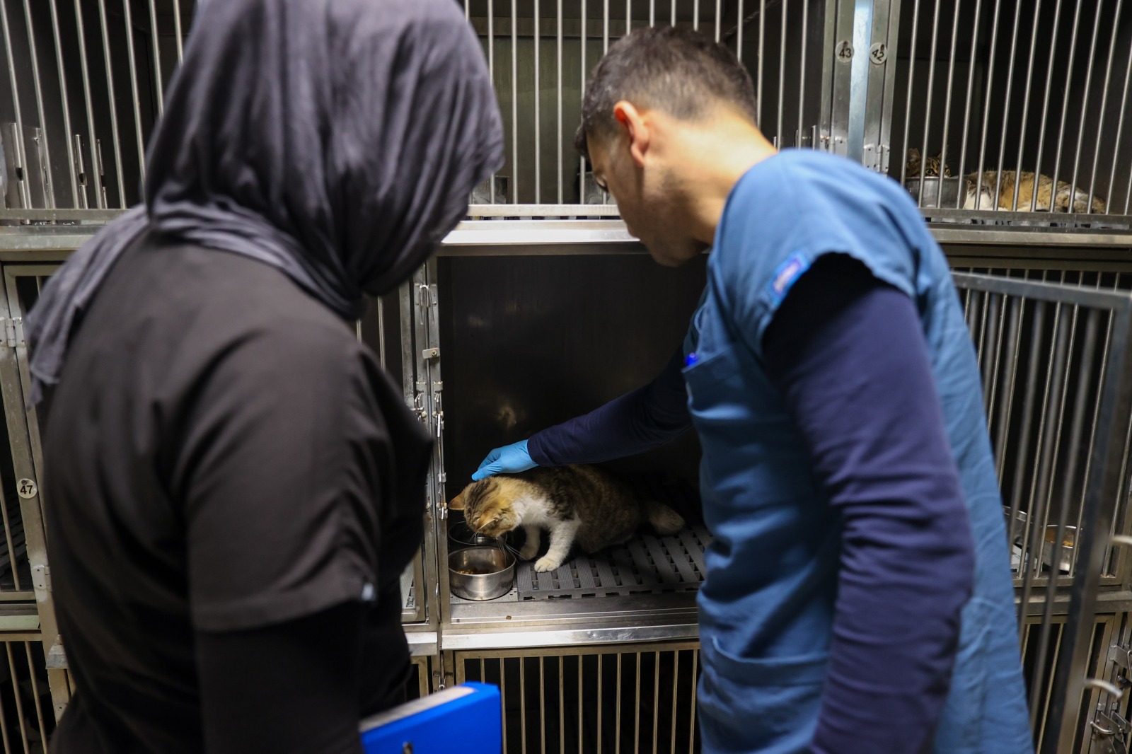 Vatandaş iş birliği çağrısı ve randevu süreci