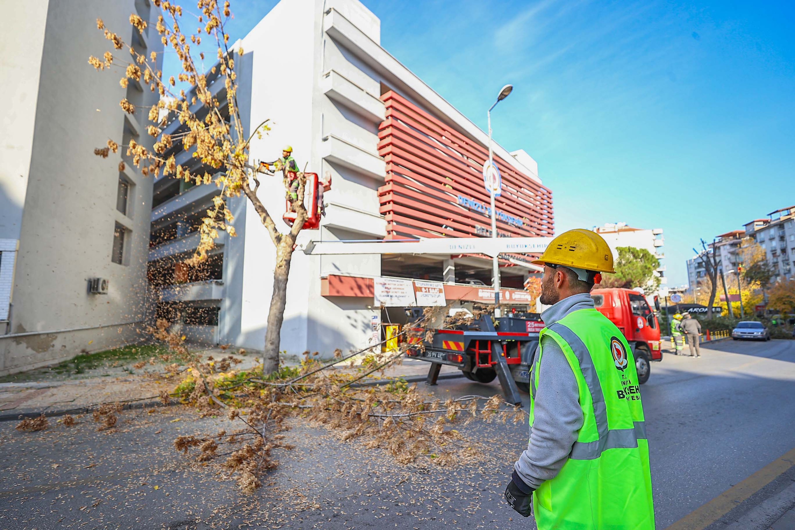 Büyükşehir’de Park Ve Yeşil Alanlarda Budama Çalışmaları Sürüyor (3)