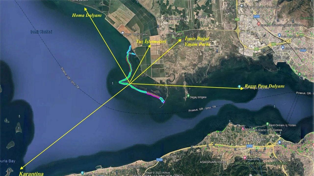 Projede ne amaçlanıyor?