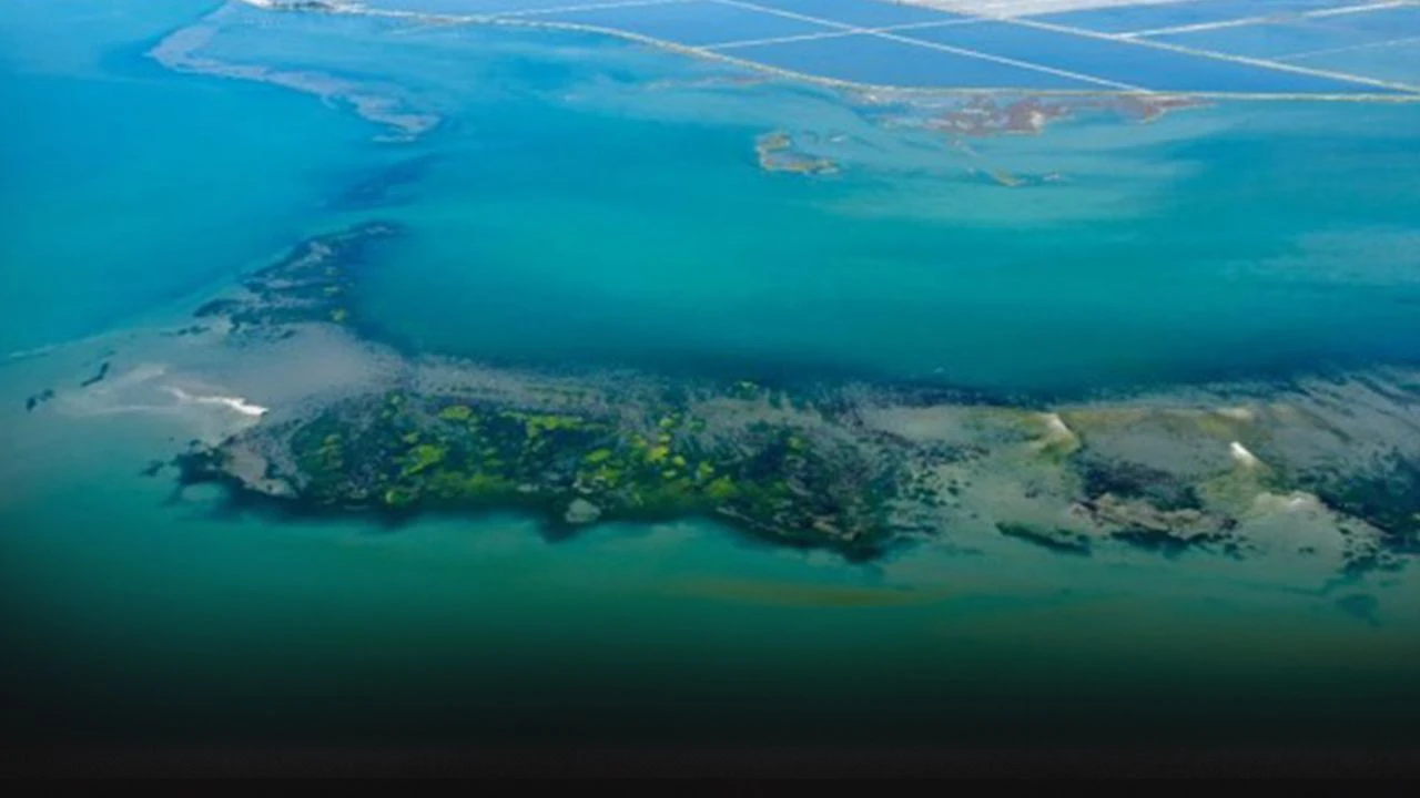 “O paralara yazık”