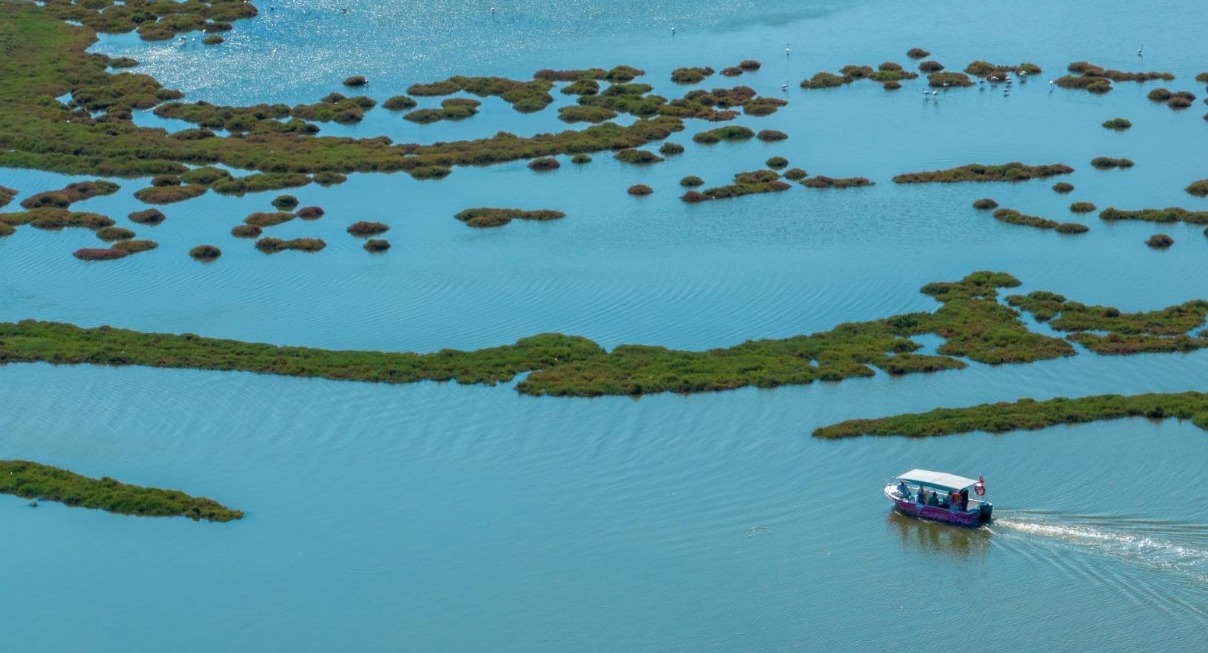 Tarihi ve bitki örtüsüyle Kültürpark keşfi başlıyor