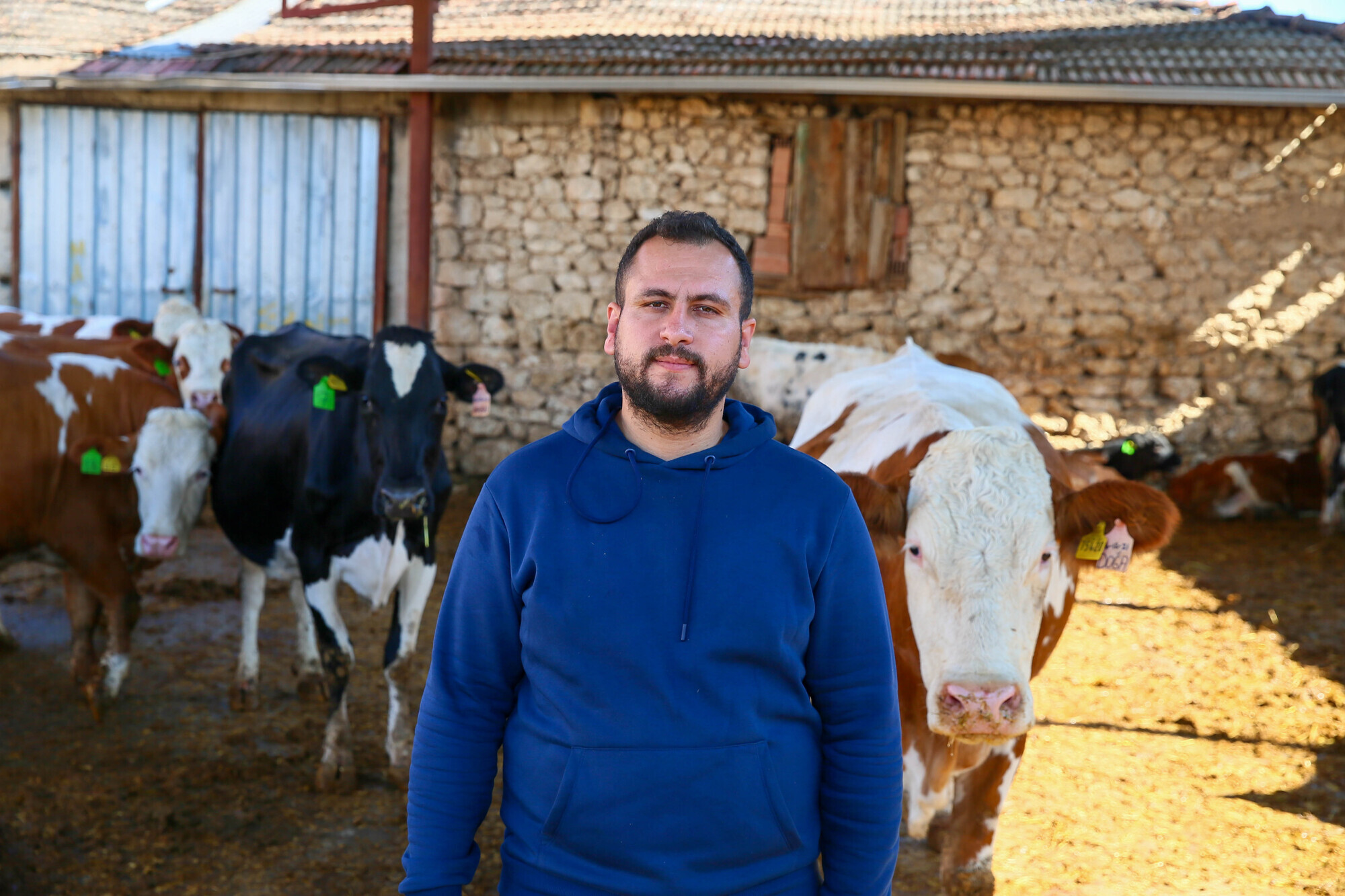 Dört Inekle Başladı, Çiftlik Kur 3