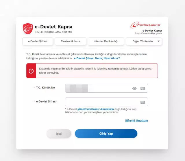E Devlet'e Neden Giriş Yapılamıyor