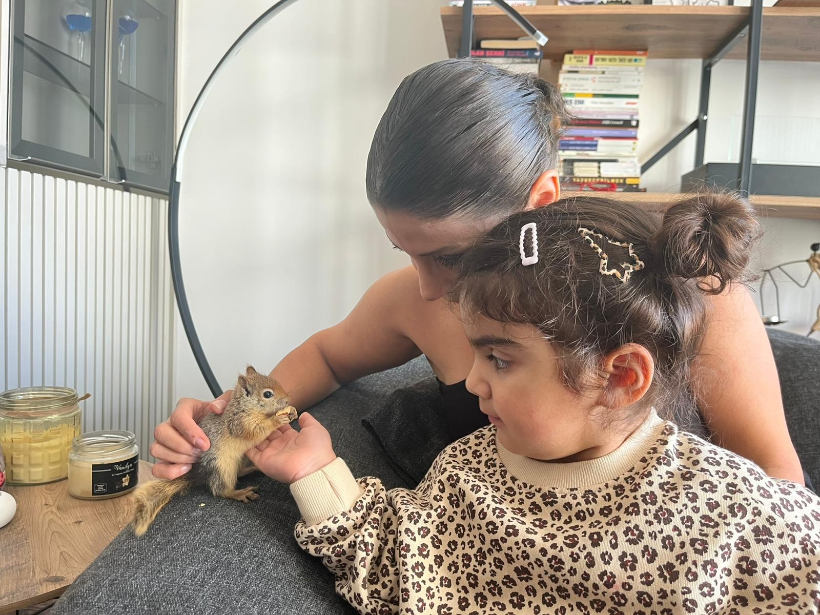 E P I L E P T I K N O B E T G E C I R E N S I N C A P T E D A V I I 1018736 302238