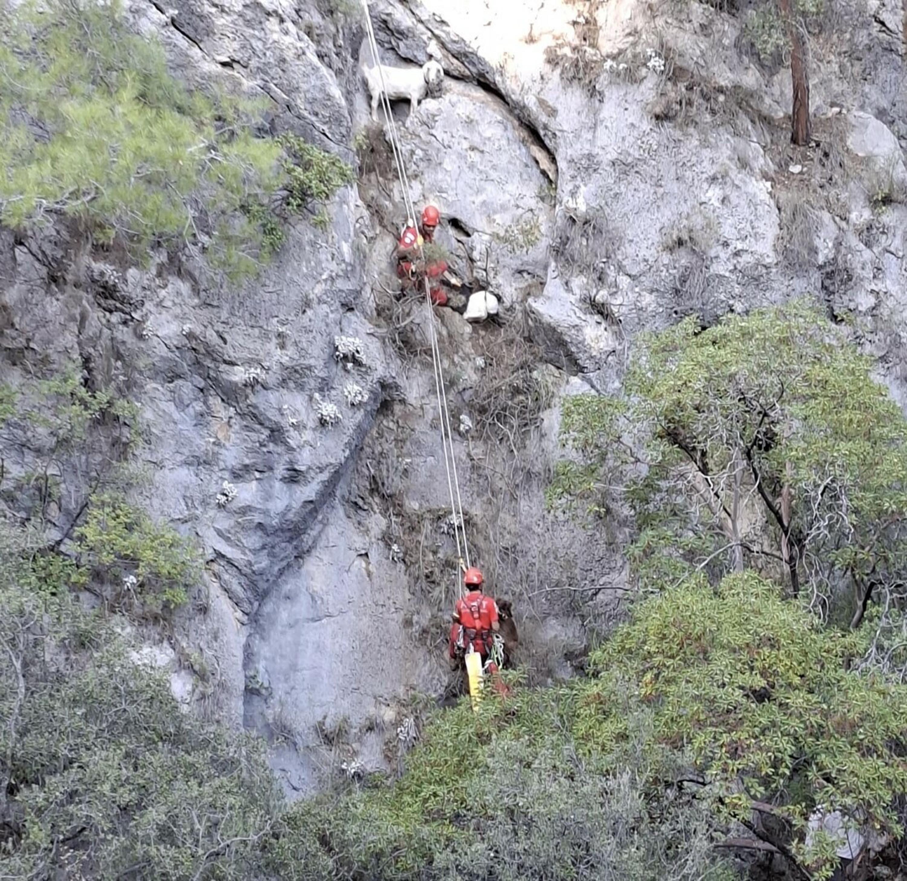 F E T H I Y E D E K A Y A L I K T A M A H S U R K A L A N 4 K E C I 1017093 301756