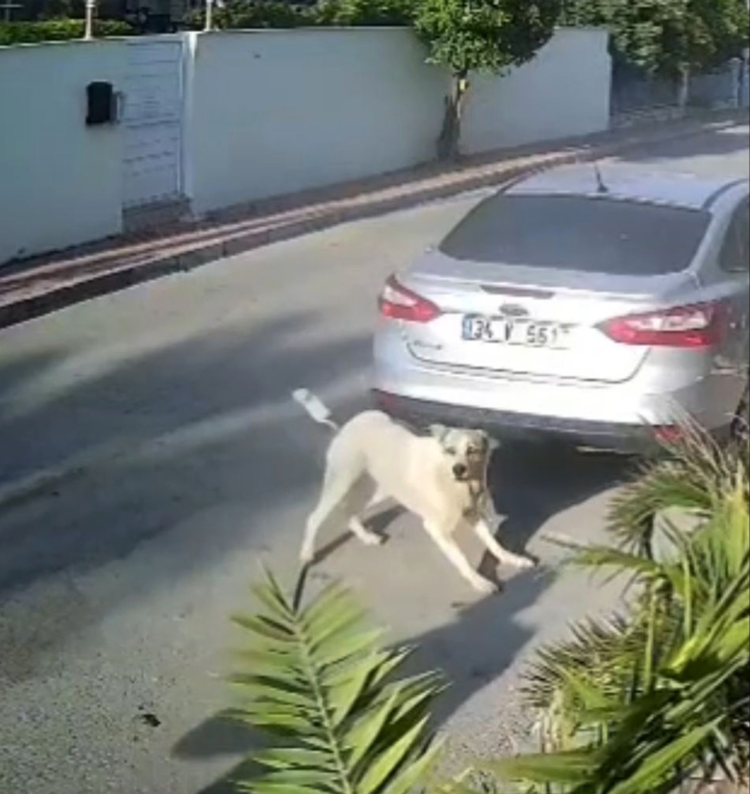 Tanık: "Kurşun başımın yanından geçti"