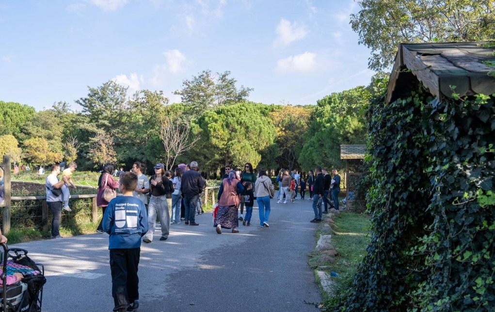 Aileler için tam günlük keyifli aktivite merkezi