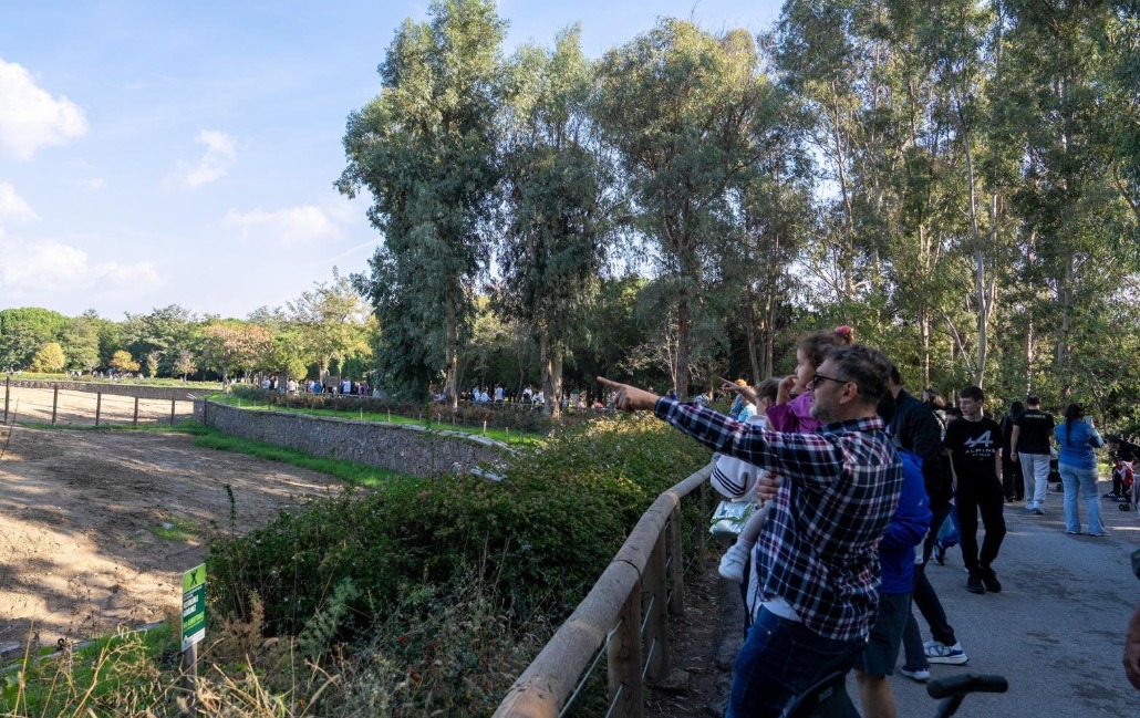 Aileler için tam günlük keyifli aktivite merkezi