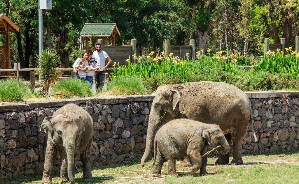 135 türle doğal yaşama yakın deneyim
