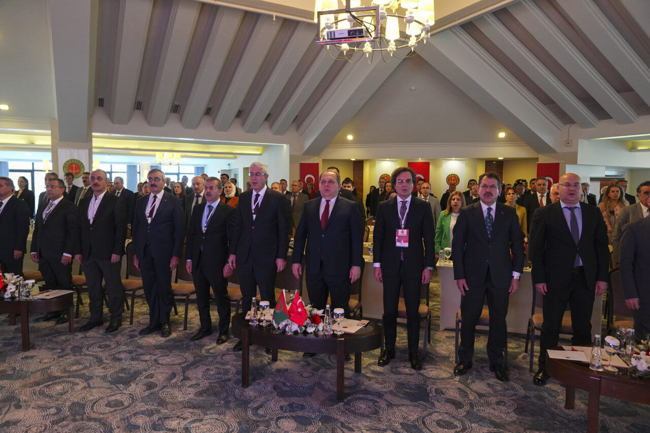 Izmir Kadastro Ve Orman Hukuku 2