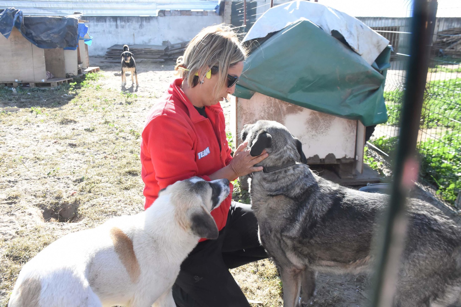 50 Bin lira ödül ve Yaşar'ın ayırt edici özellikleri