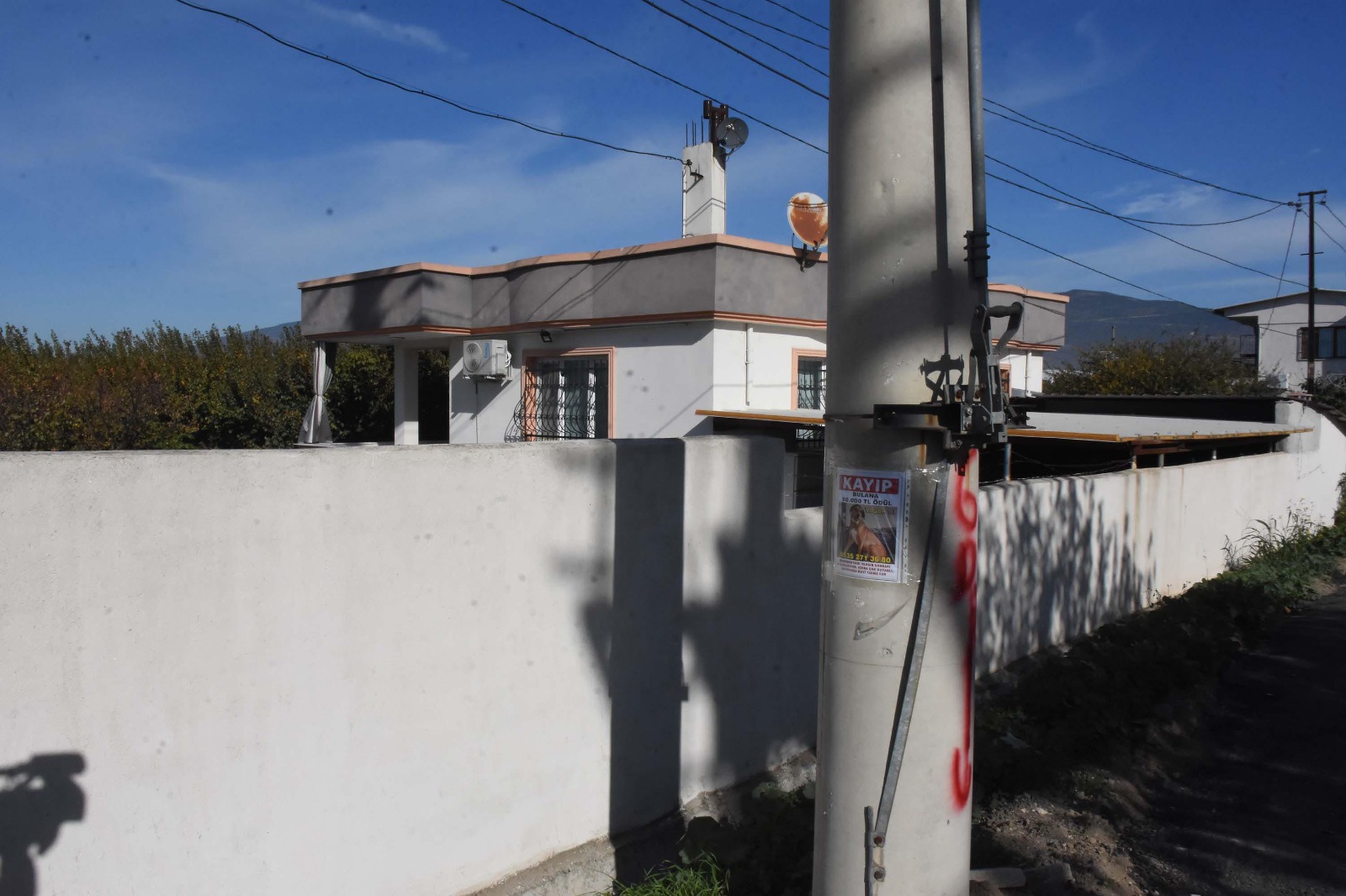 "Cesedi yoktu, travma ile kaçmış olmalı"