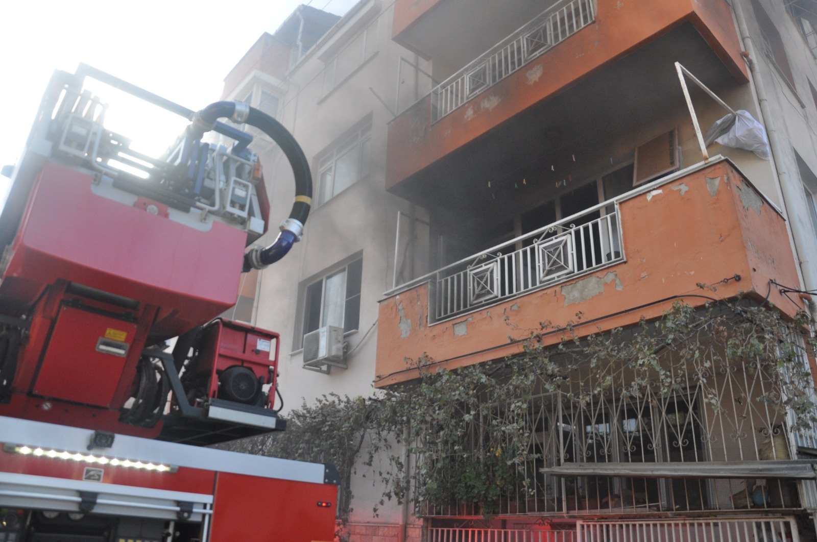 Yavru kediye komşu eli uzandı