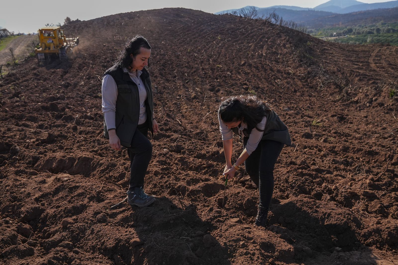 "Yanan alanları yıl içerisinde ağaçlandırma zorunluluğu var"