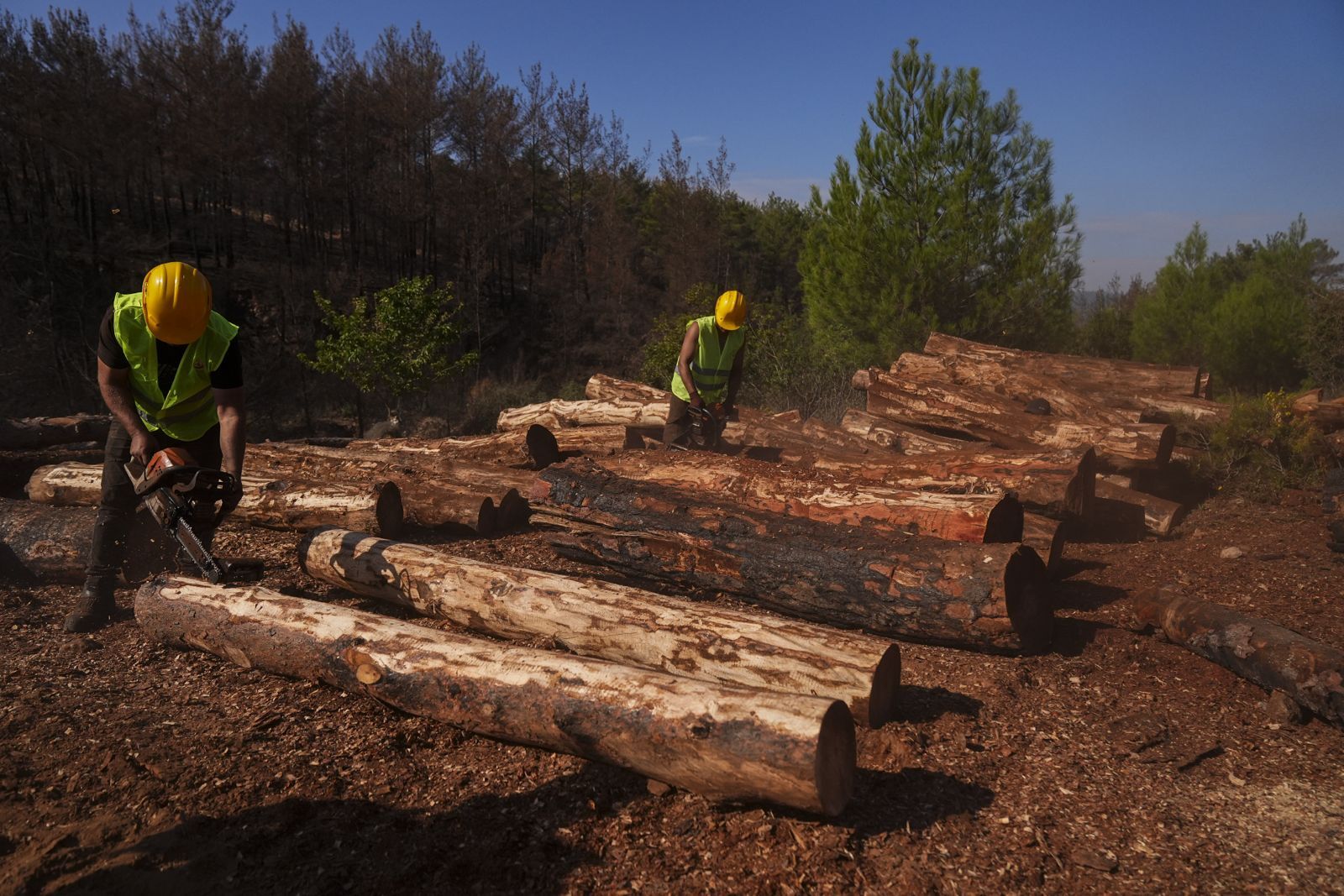 "Herkesi çalışmalarımıza destek olmaya bekliyoruz"