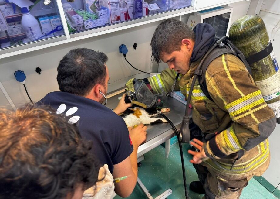 Beş gündür kayıp köpek, kanalizasyon borusundan çıkarıldı