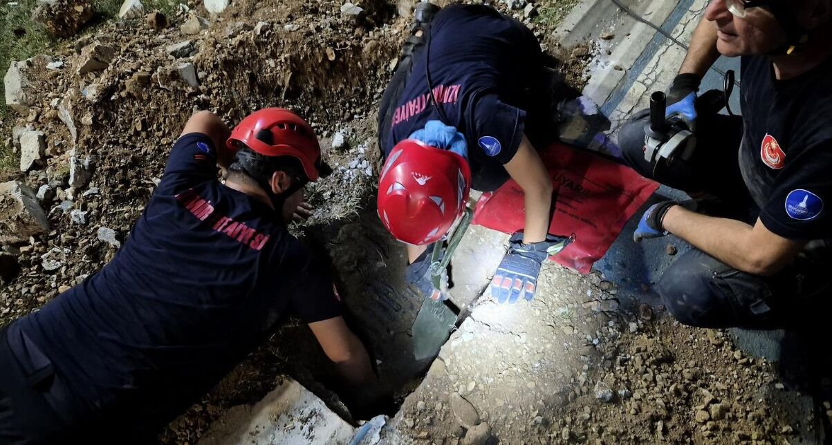 Beş gündür kayıp köpek, kanalizasyon borusundan çıkarıldı