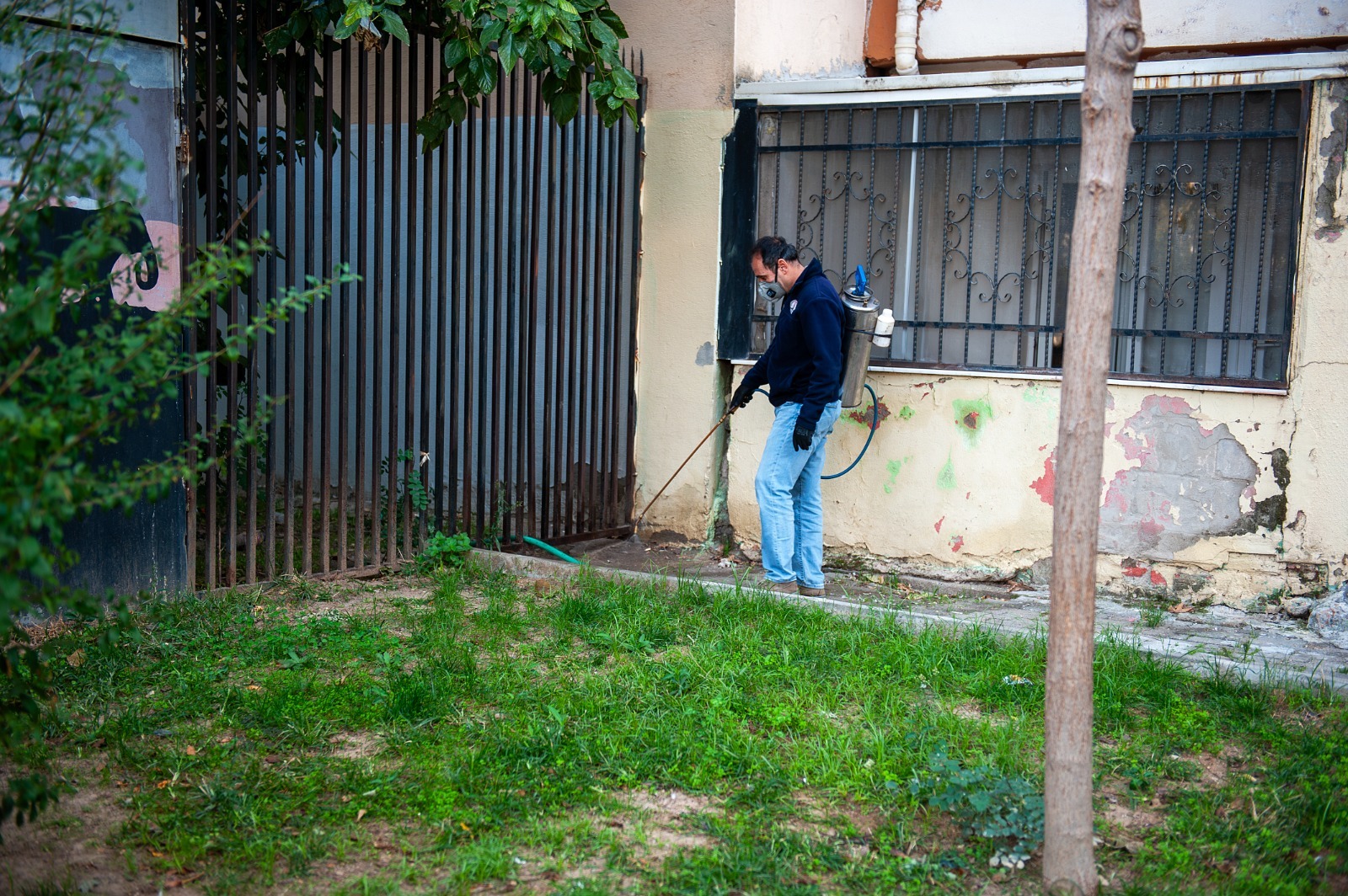 Bilimsel yöntemler ve 12 aylık rutin mücadele