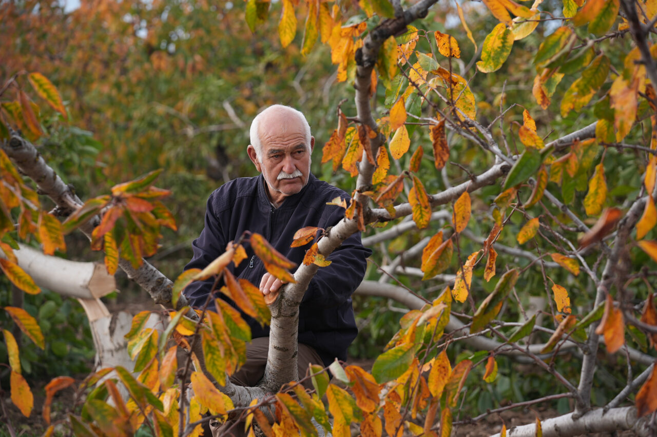 Kemalpaşa Çiftçi 1