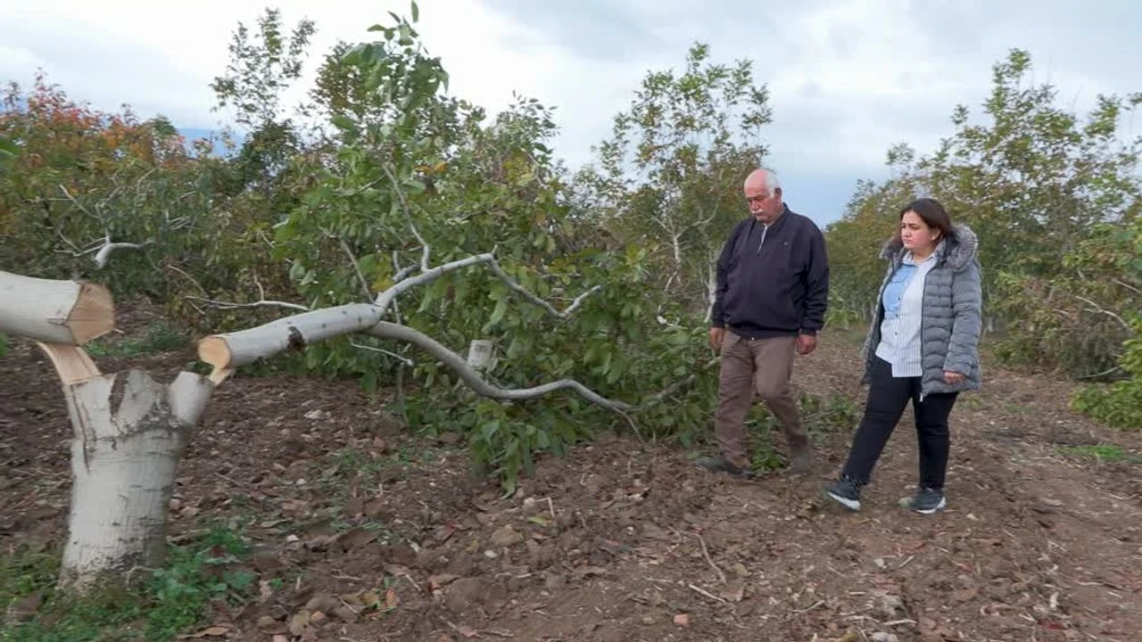 Kemalpaşa Çiftçi 2