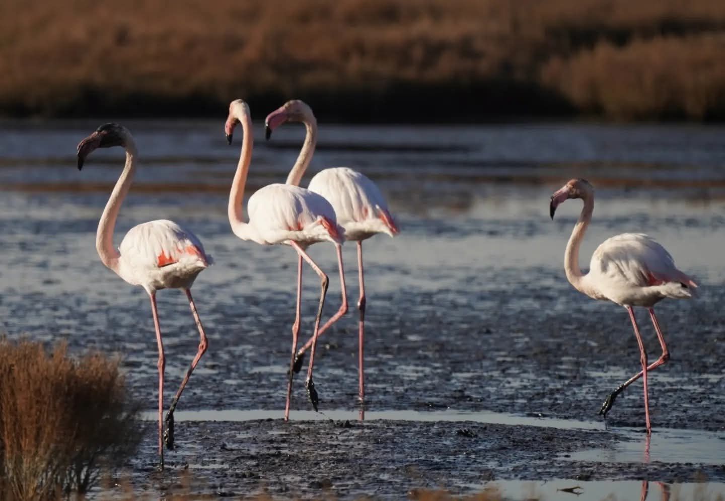 “İçler acısı bir durum var”