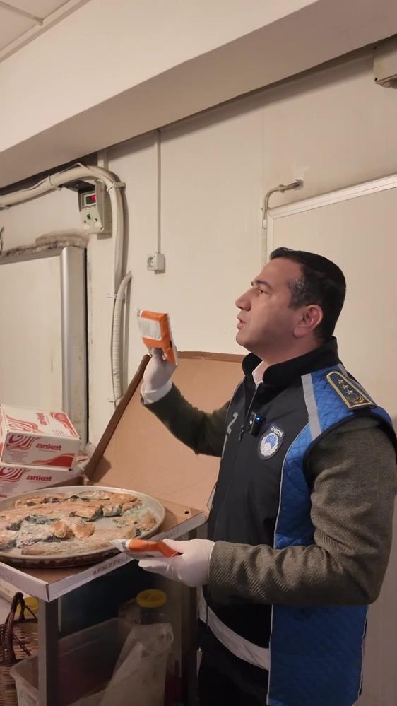 Levent Börek Denetim