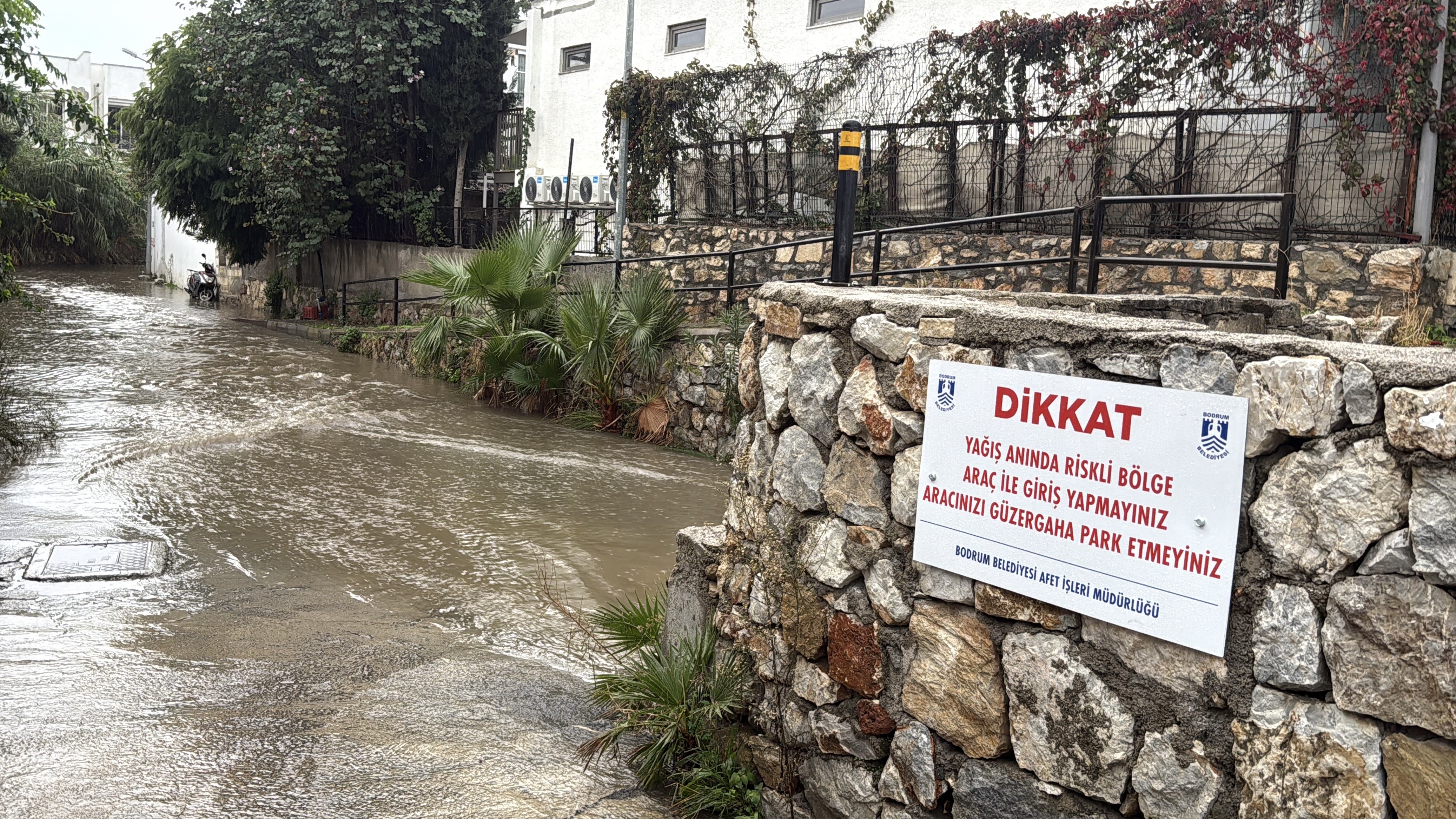 Muğla'da Mazgallar Patladı!