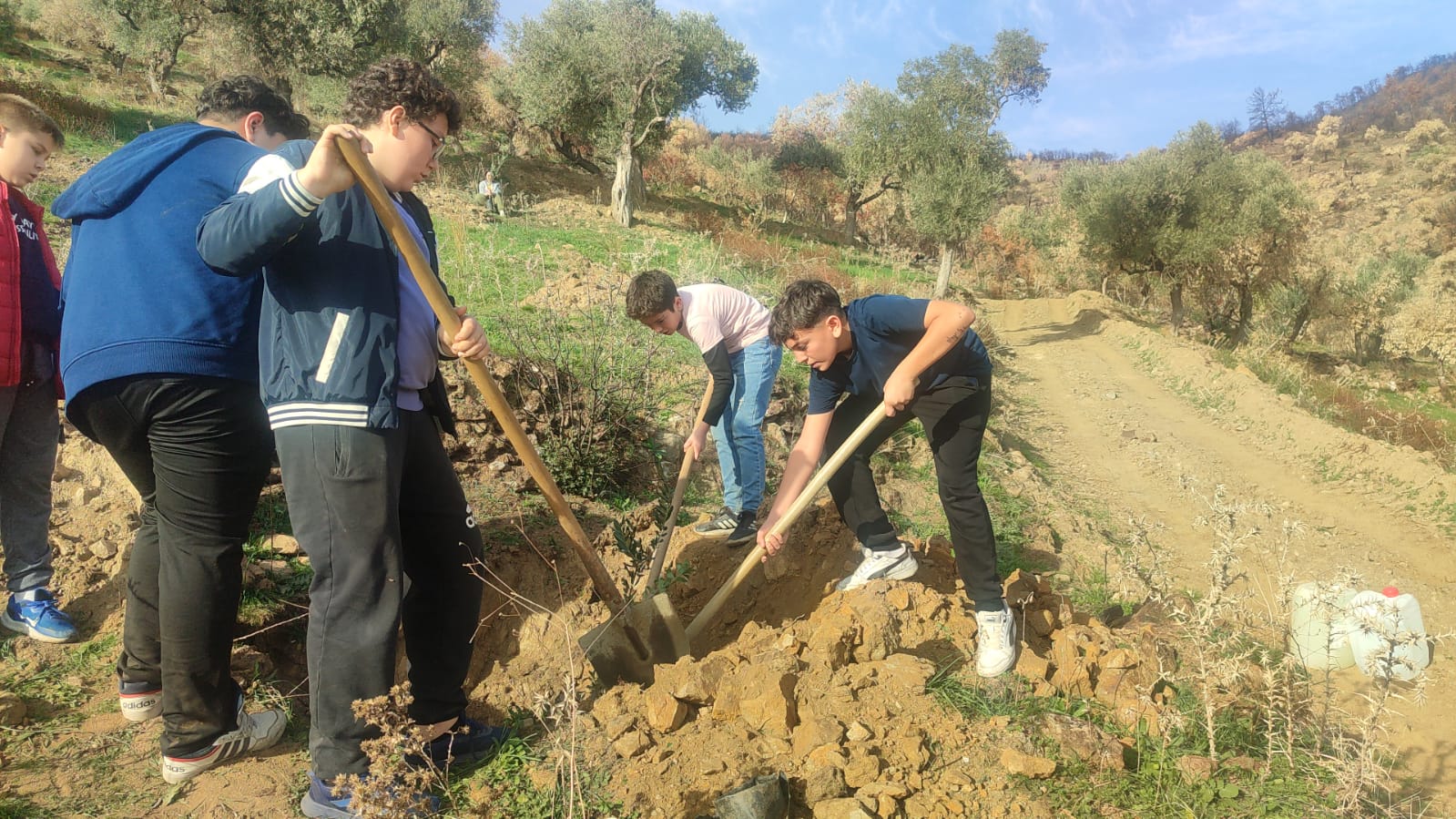 Yeşili tekrar canlandıracaklar