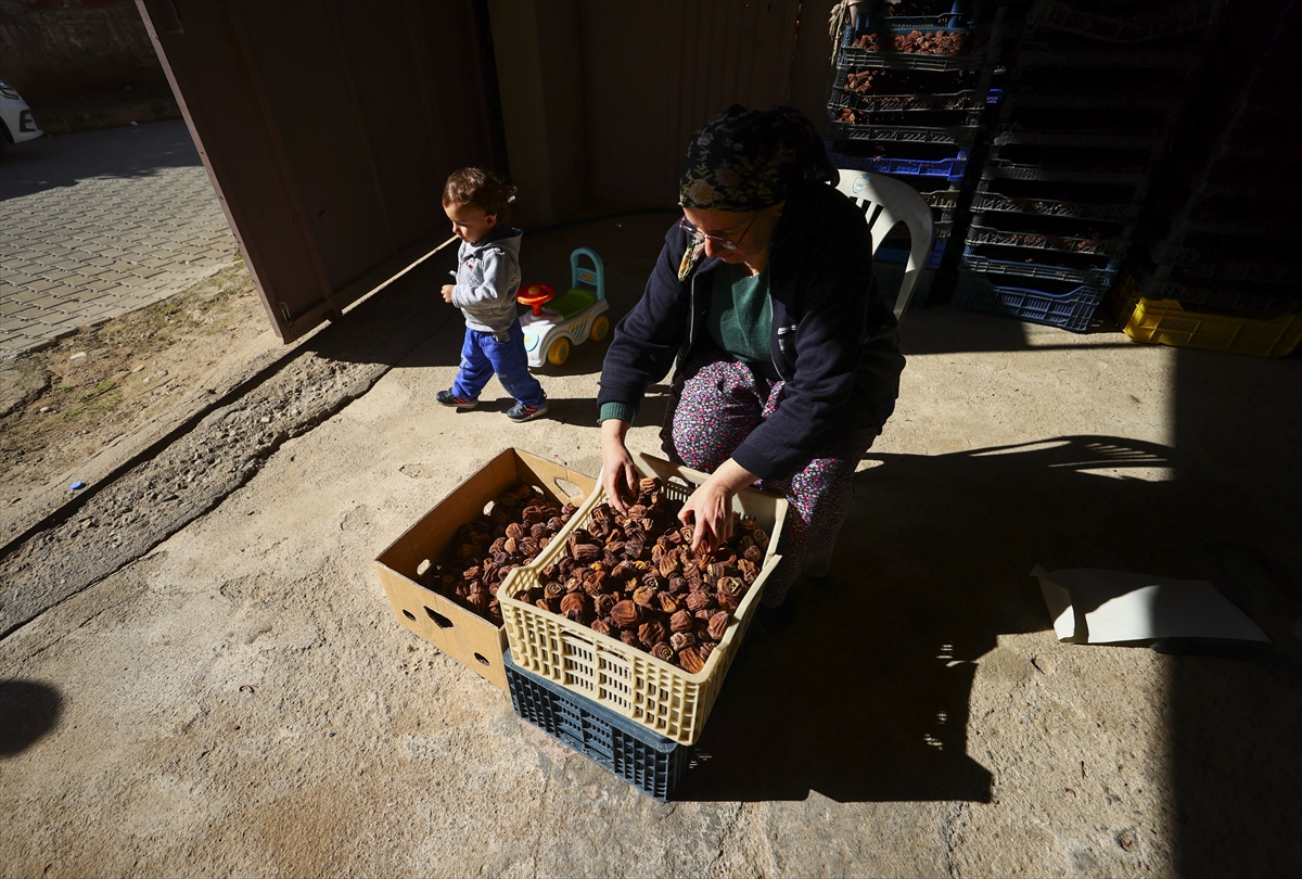 Ekonomik değer yükseliyor: 5 kilodan 1 kilo kuru hurma