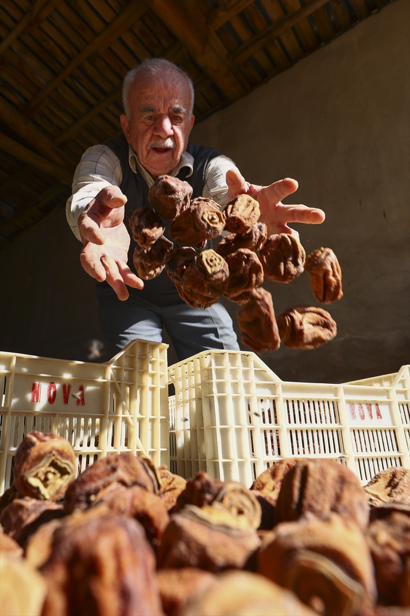 Geleneksel ürüne modern kurutma yöntemi