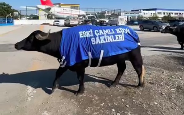 CİMER şikayetlerinin ardından sıra dışı tepki
