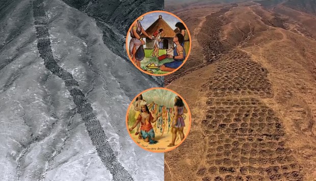 İnkaların çukurları neden kazdığı araştırılıyor