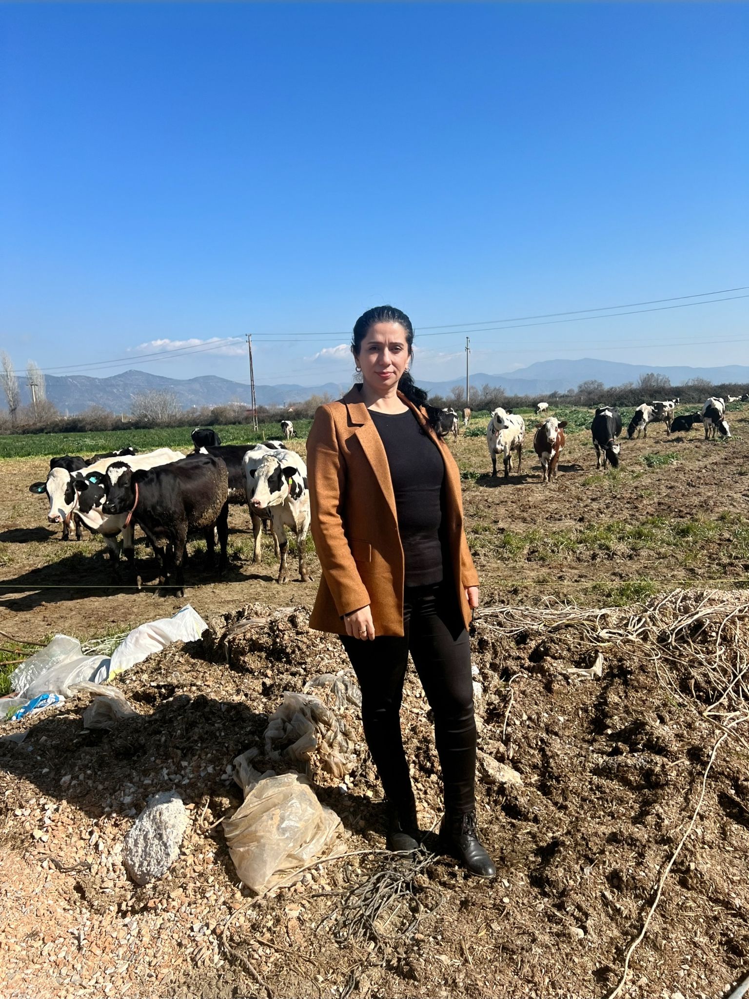 Bakanlığa saha çağrısı: Kararlar ahırın önünde alınmalı