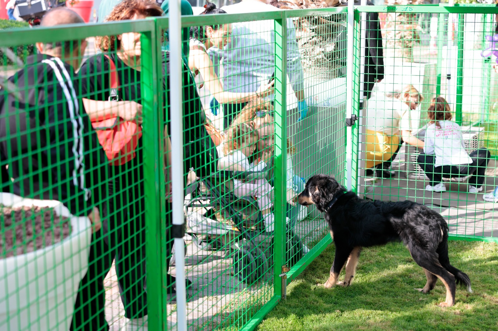 Sahiplendirme coşkusu ve farkındalık atölyeleri