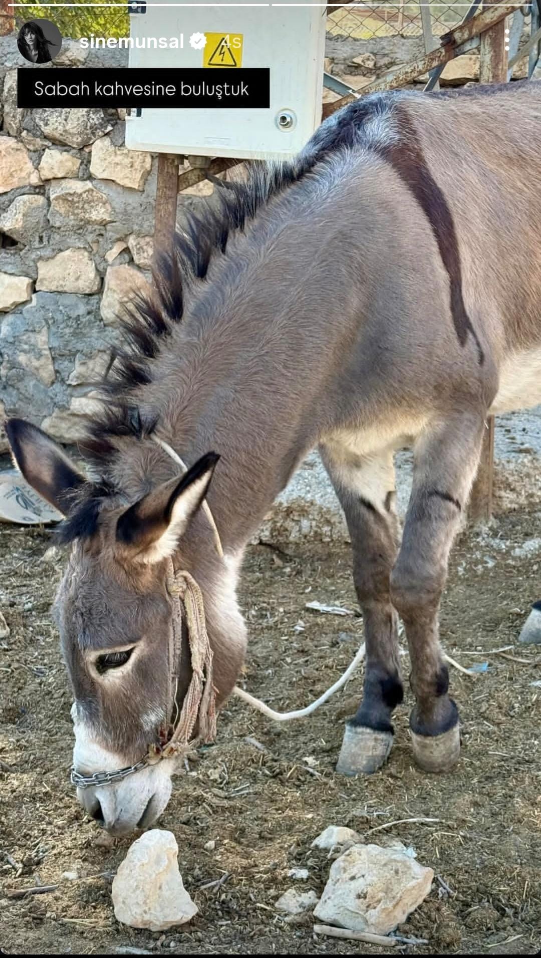Hayranları, Ünsal’ın doğal ve esprili tarzına övgüler yağdırdı.