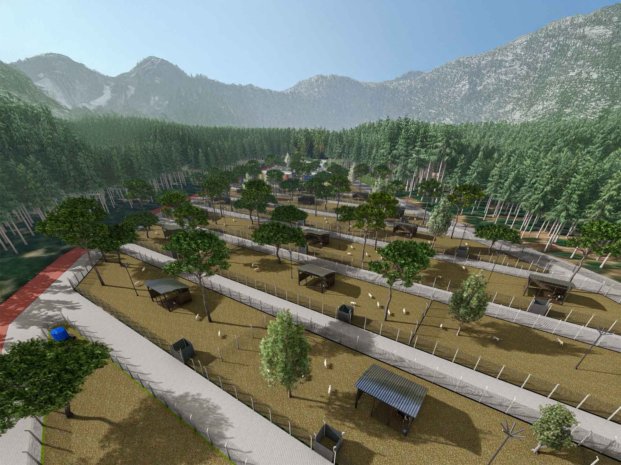 Sokak Hayvanları Doğal Yaşam Alanı (3)