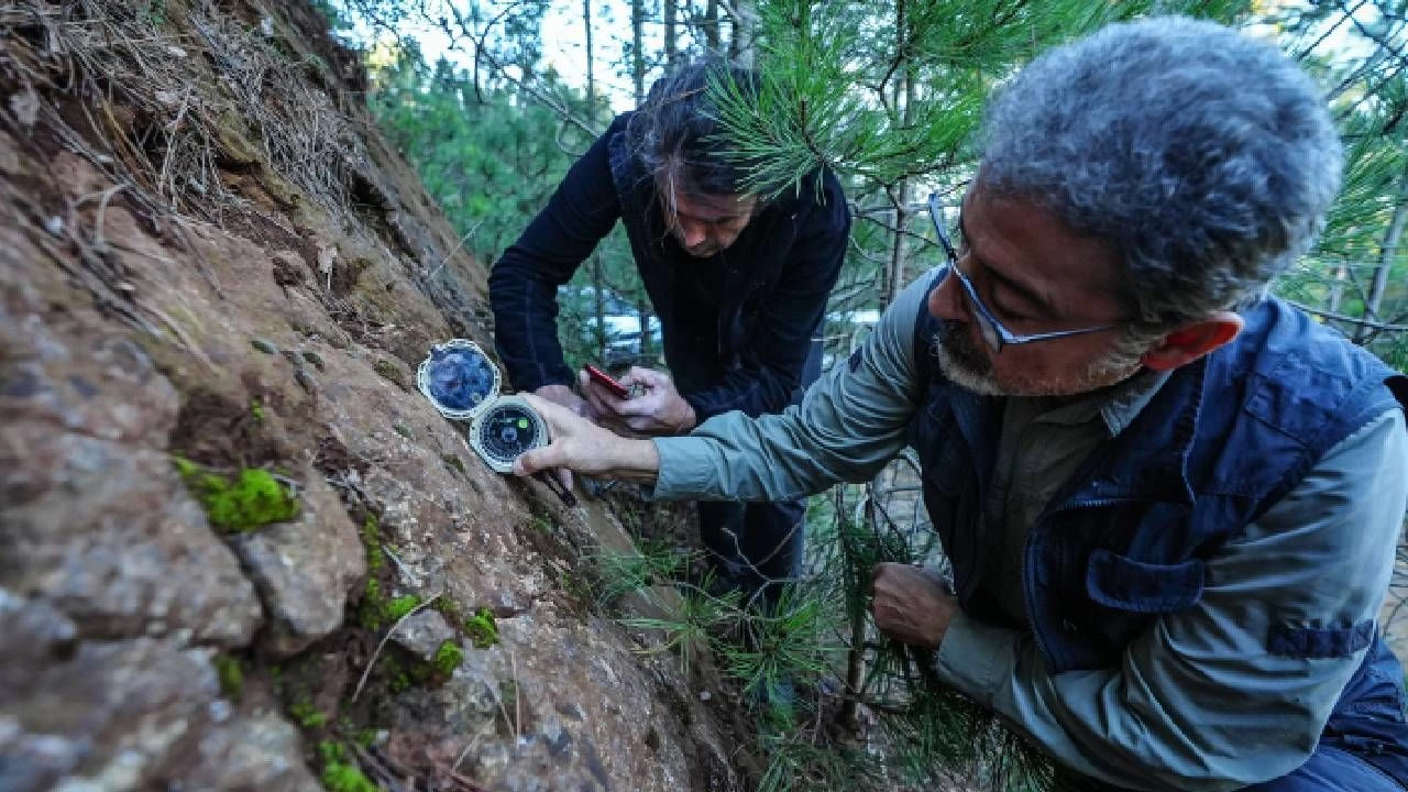 “Yeni faylar basamak şeklinde ilerliyor”