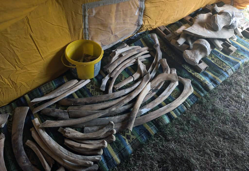 T O P R A K A L T I N D A N C I K A R I L A N F I N B A L I N A S I N I 1004684 298094