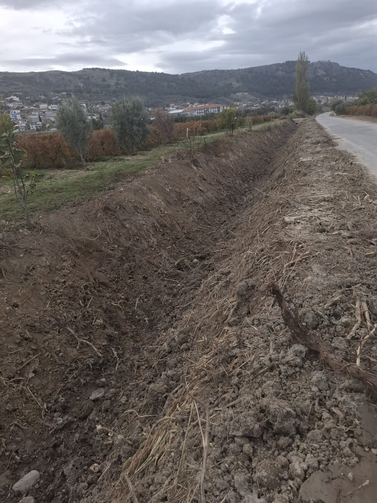 Tarım Arazileri Taşkınlara Karşı Korunuyor (6)