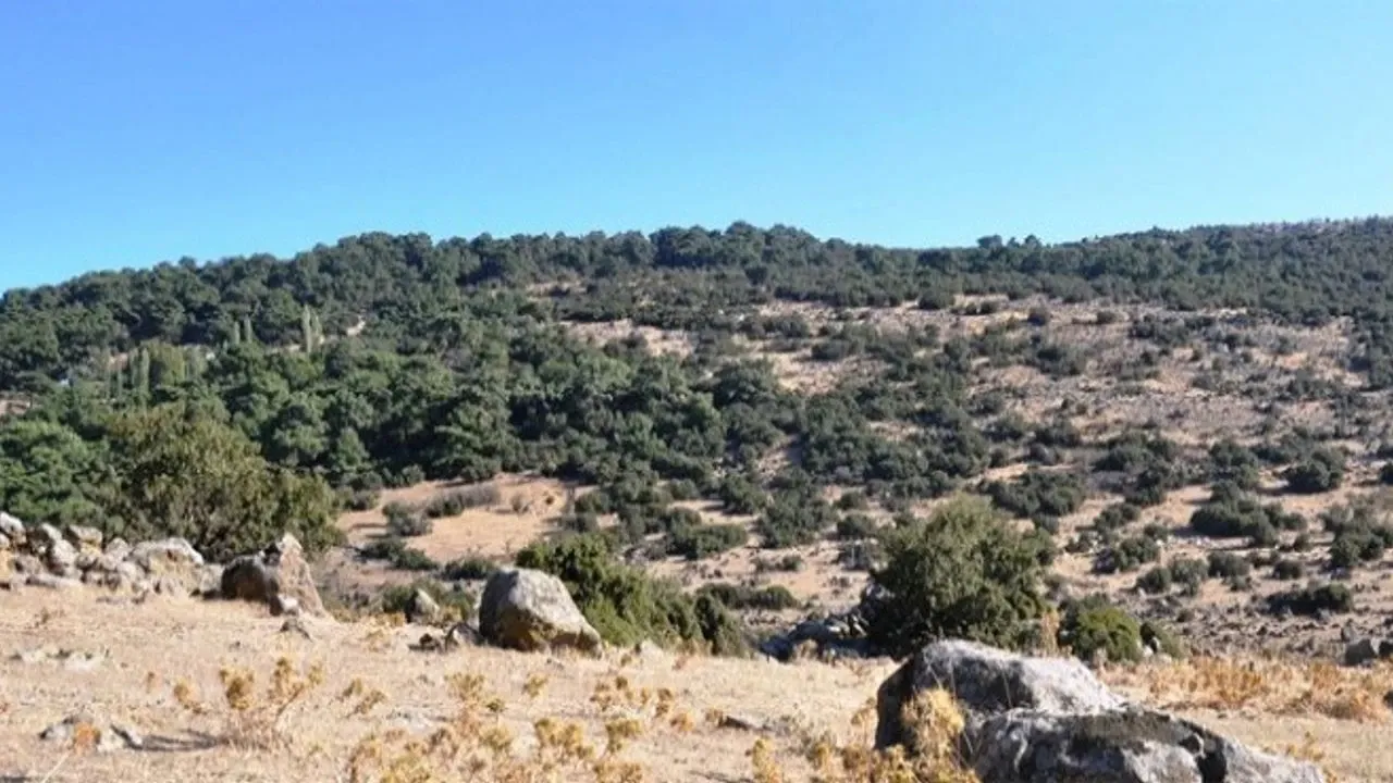 “Yamanlar’ın acilen devreye sokulması lazım”