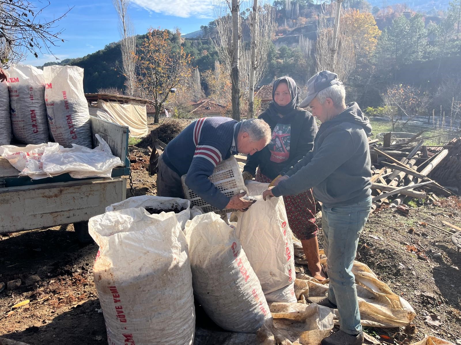 Asırlık Kestane Alıcıyla Buluşuyor!3