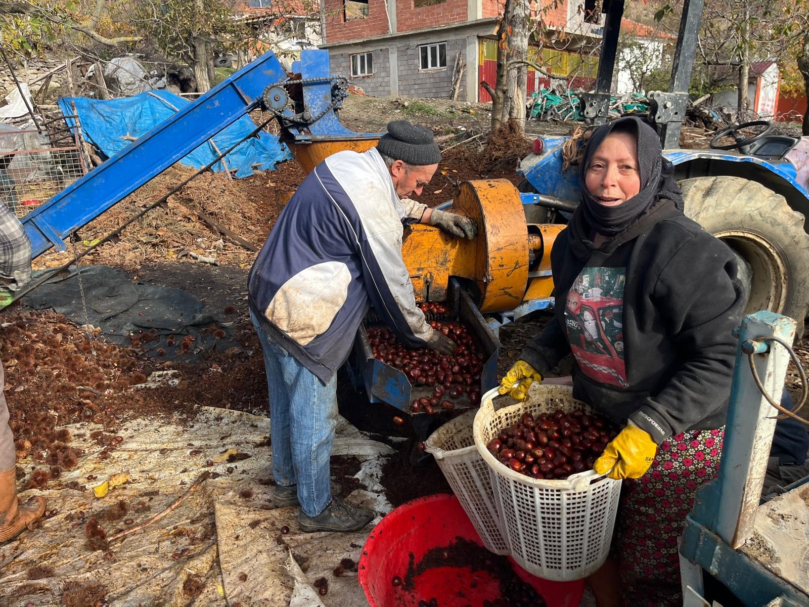 Asırlık Kestane Alıcıyla Buluşuyor!4